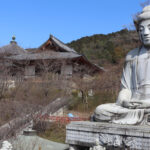 Tsubosaka-dera Temple: The Temple of Sight