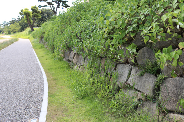 remains of one of Okazaki Castle stonewalls near the Otogawa River.