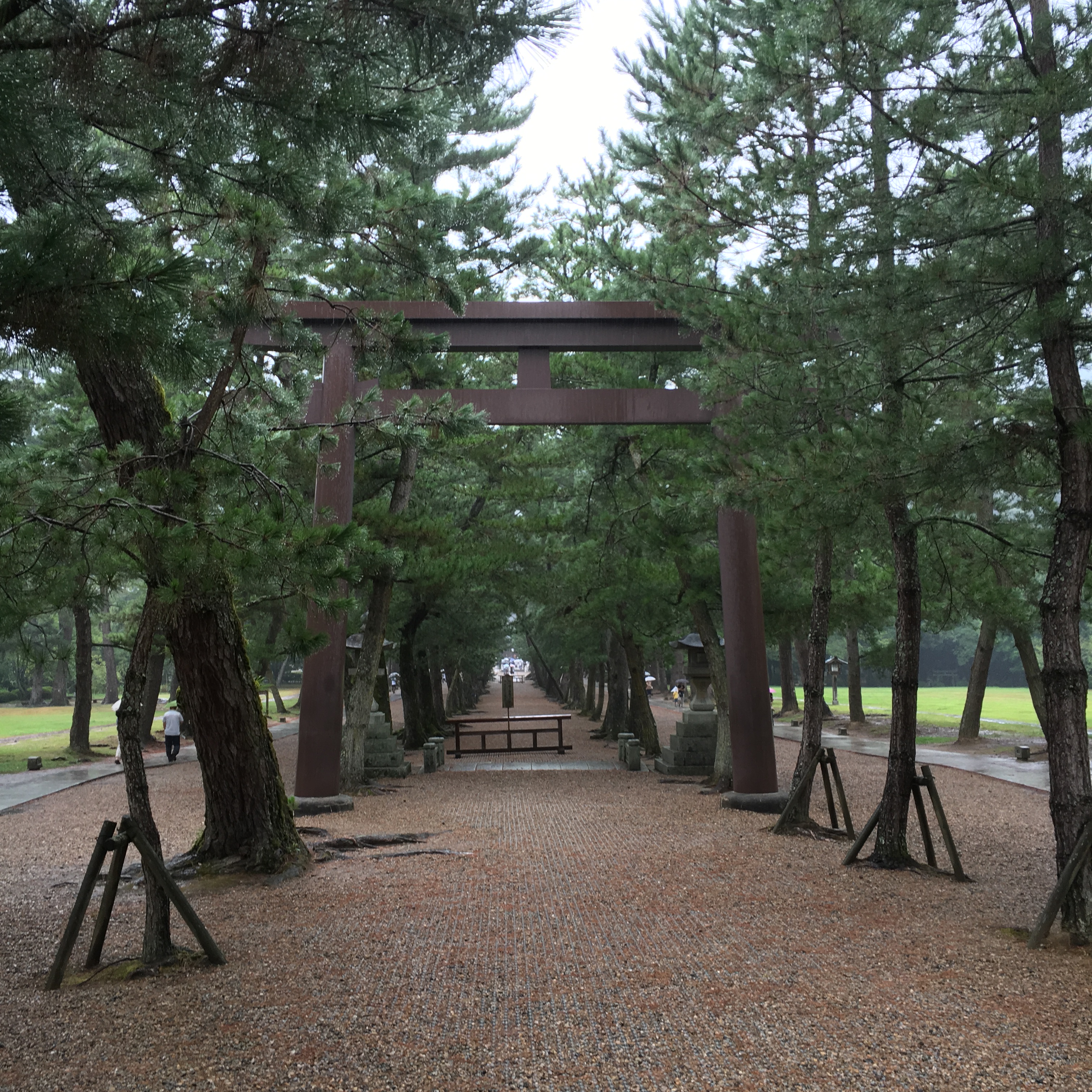 sacres pathway at Izumo Taisha lined with pine trees