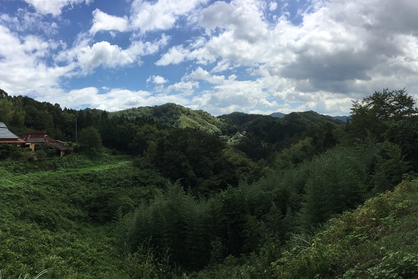 Scenery around Suga Shrine  