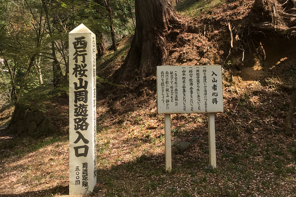 西行桜山周遊路の入り口