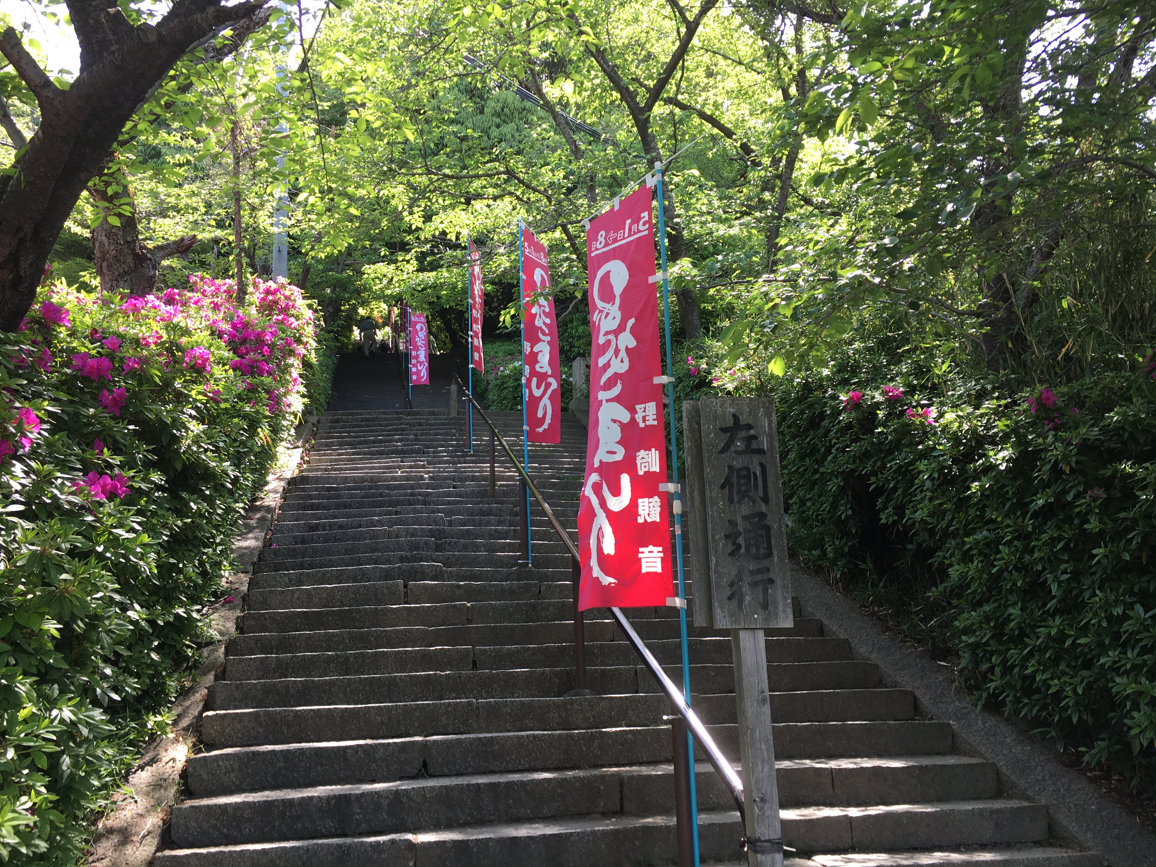 stone stairs and blooming azaleas during nozaki mairi