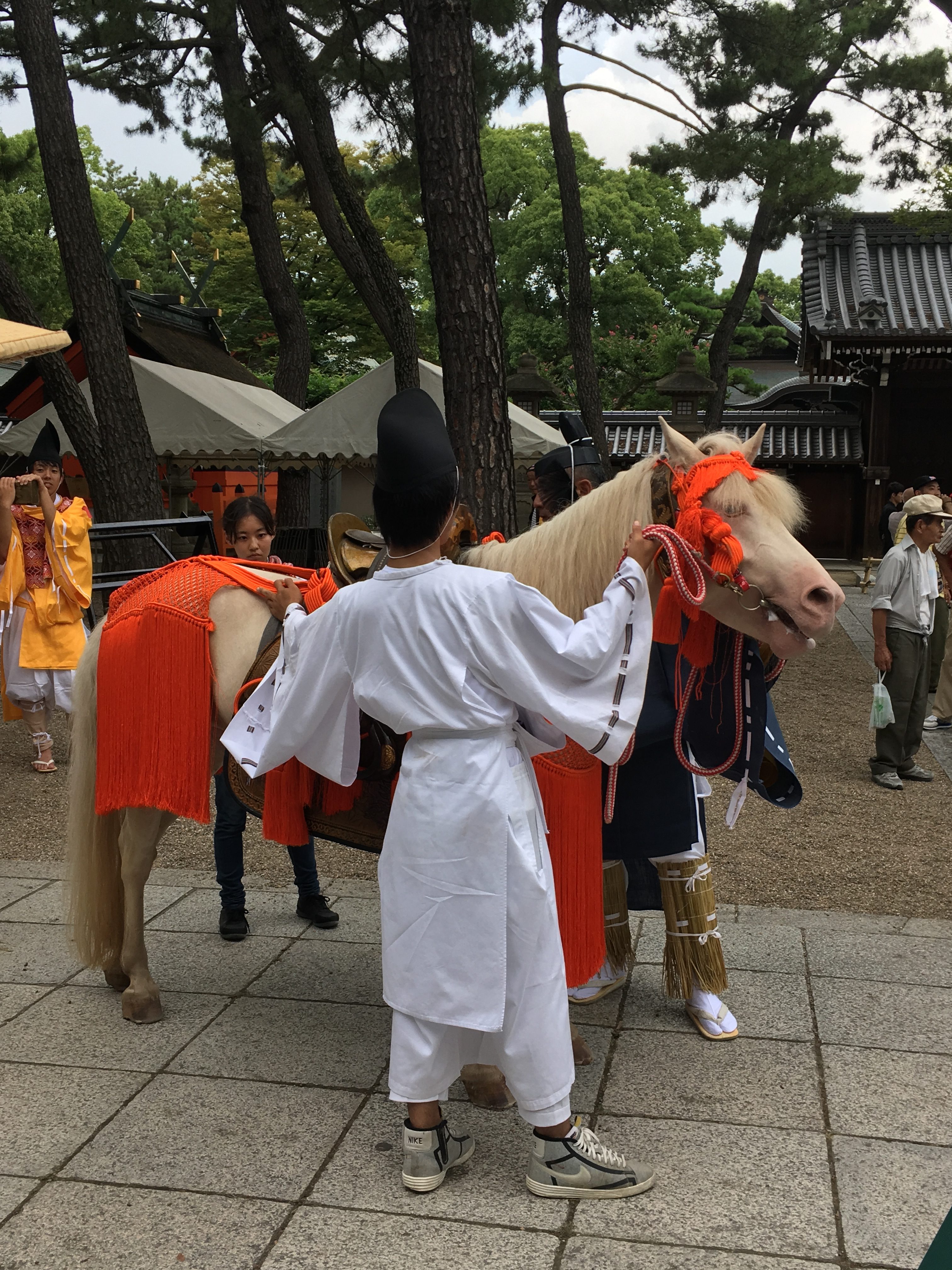 white horse shroud in orange attire being steadied by shinto priest