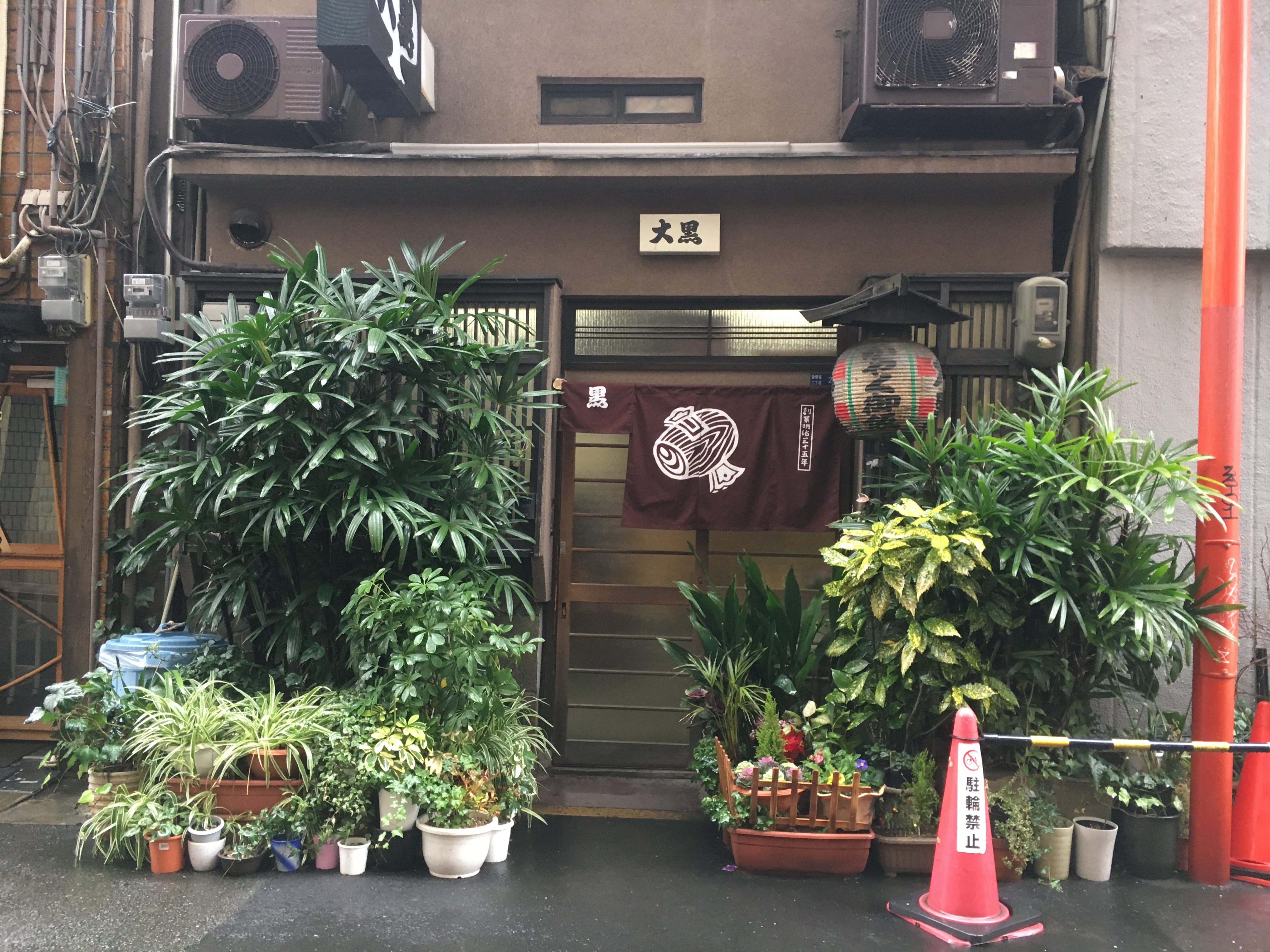 outside of a small japanese restaurant and many green plants and lantern