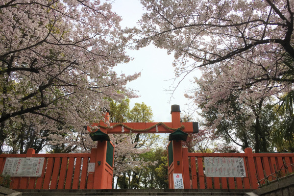 生國魂神社の北門