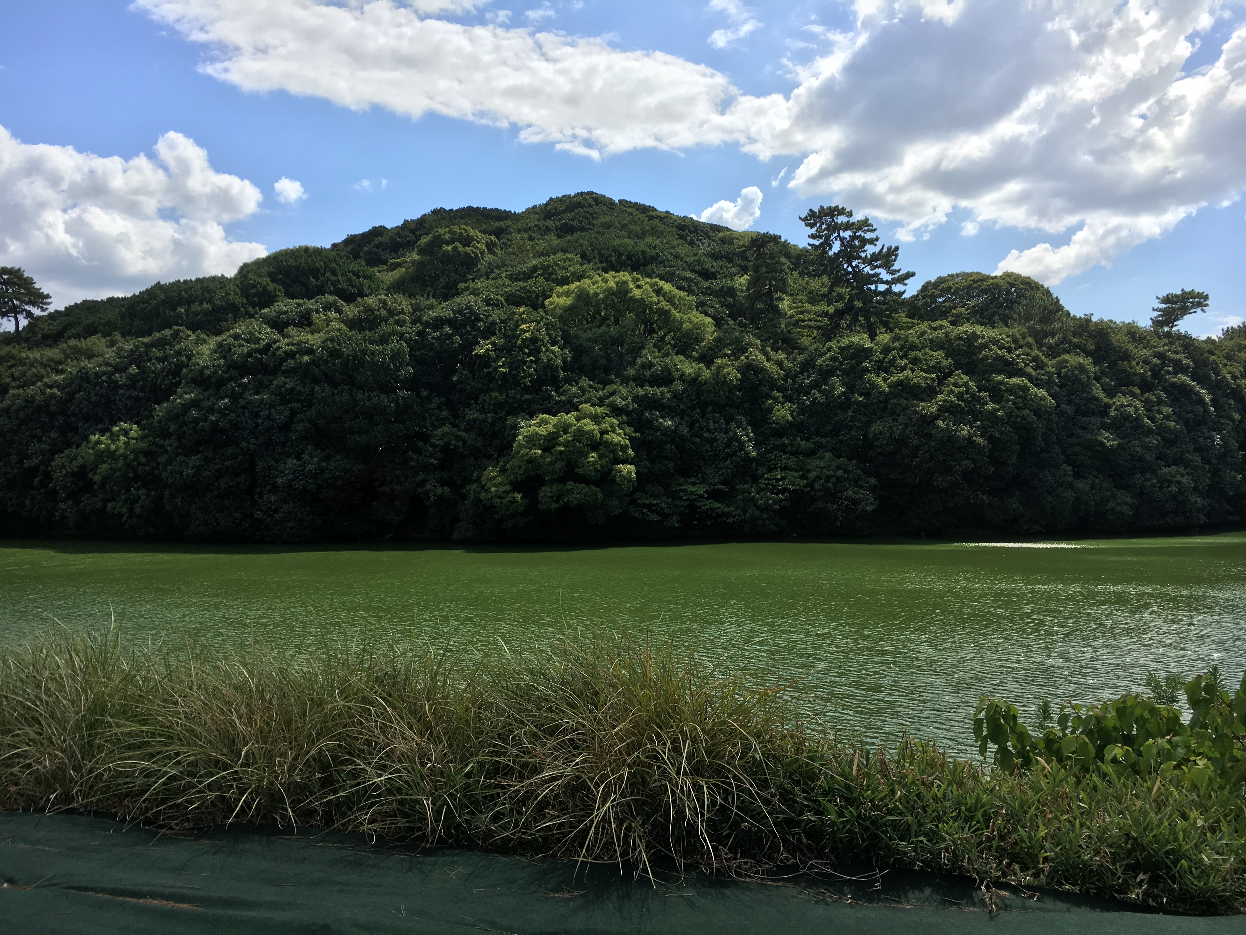 view of Kamiishizu Misanzai on a clear sunny day
