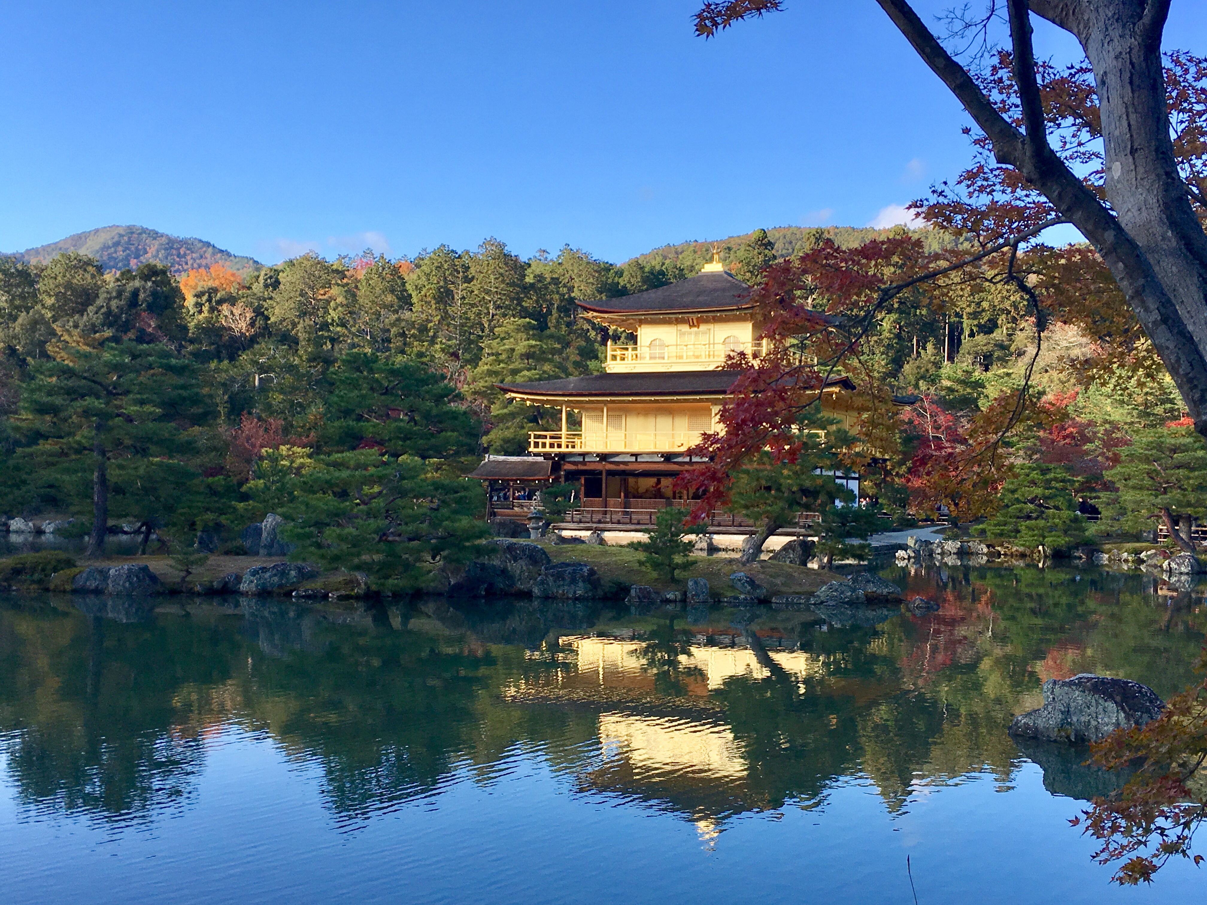 Golden kinkaku-ji in the fall with reflection in pond