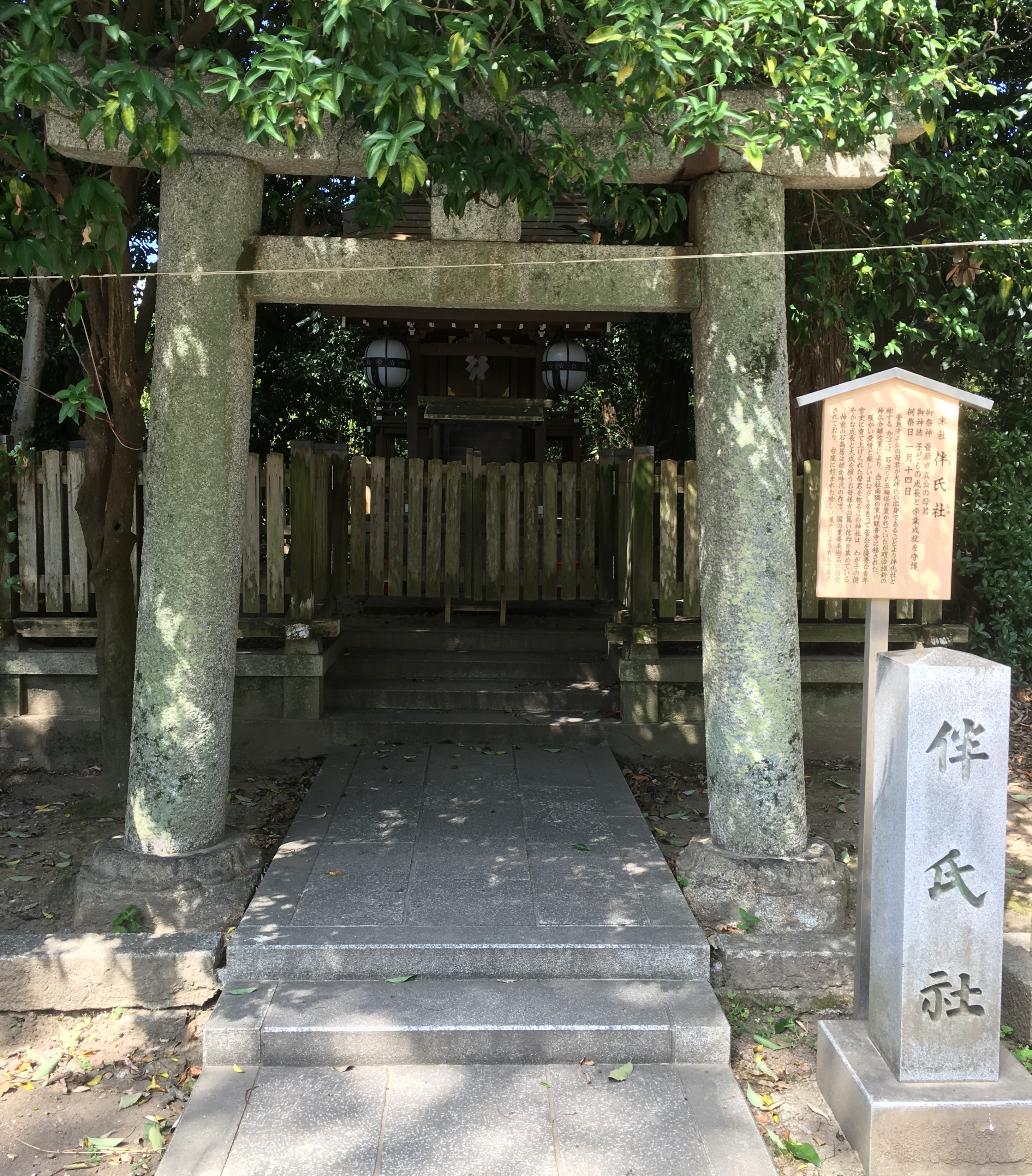 small japanese shrine surrounded by green trees