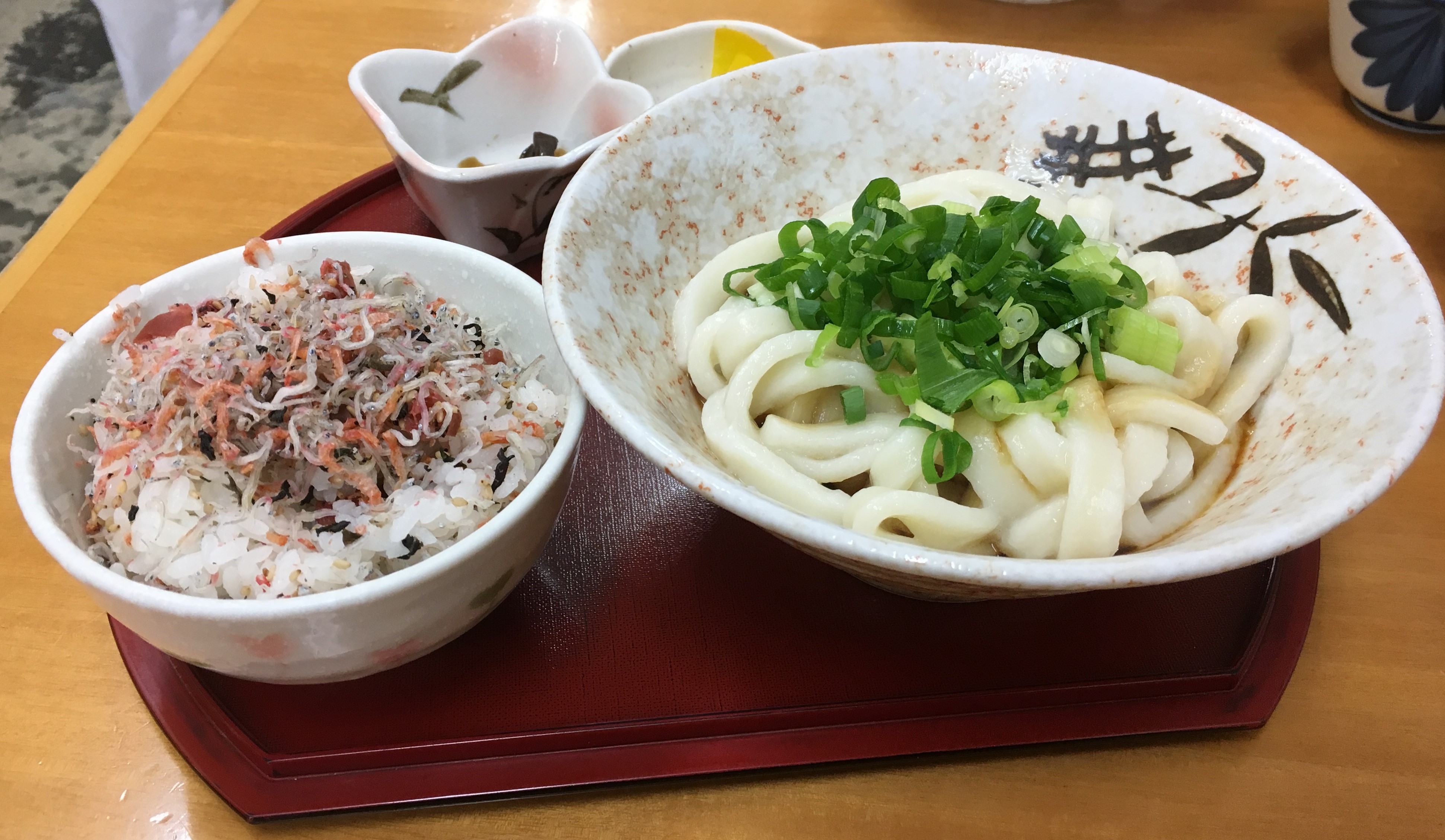 bowl of udon noodles and scallions and a side of rice with furikake