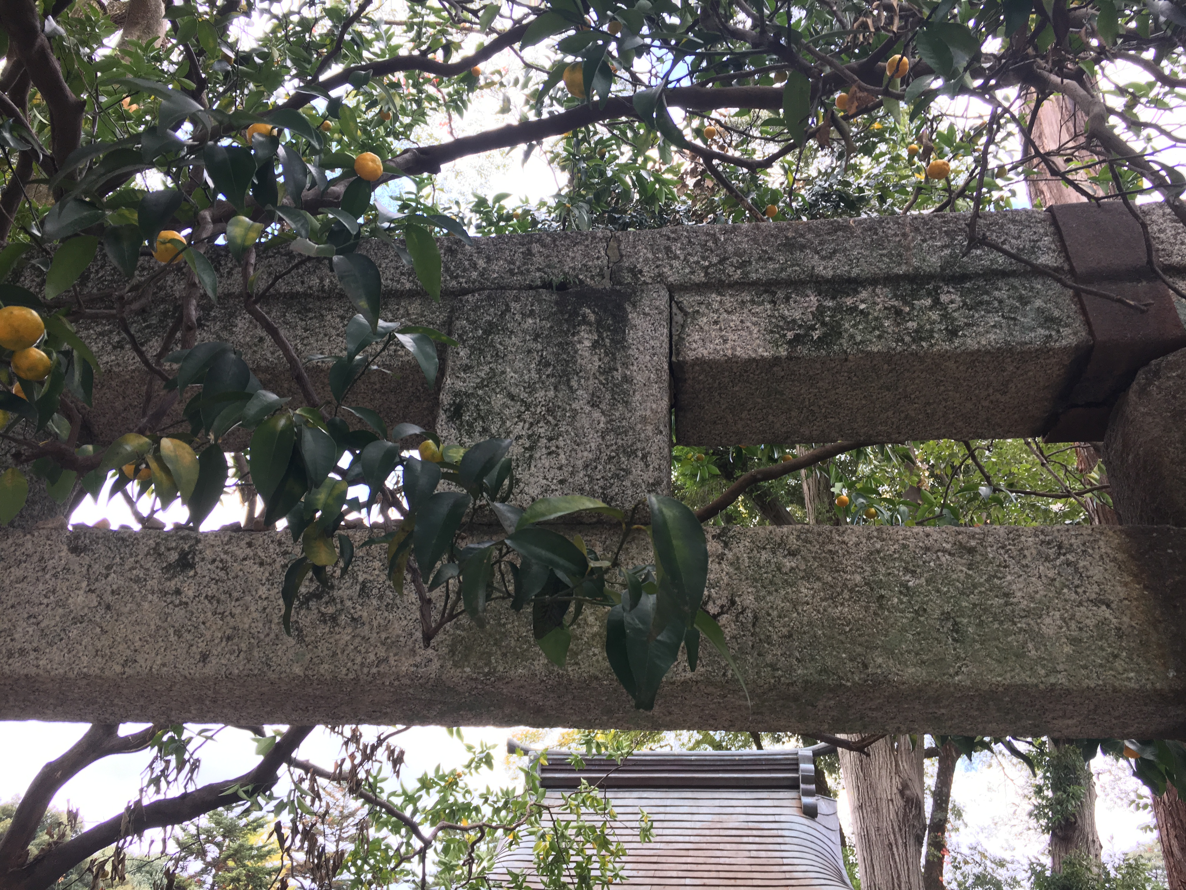 unusual architecture of a Japanese stone torii