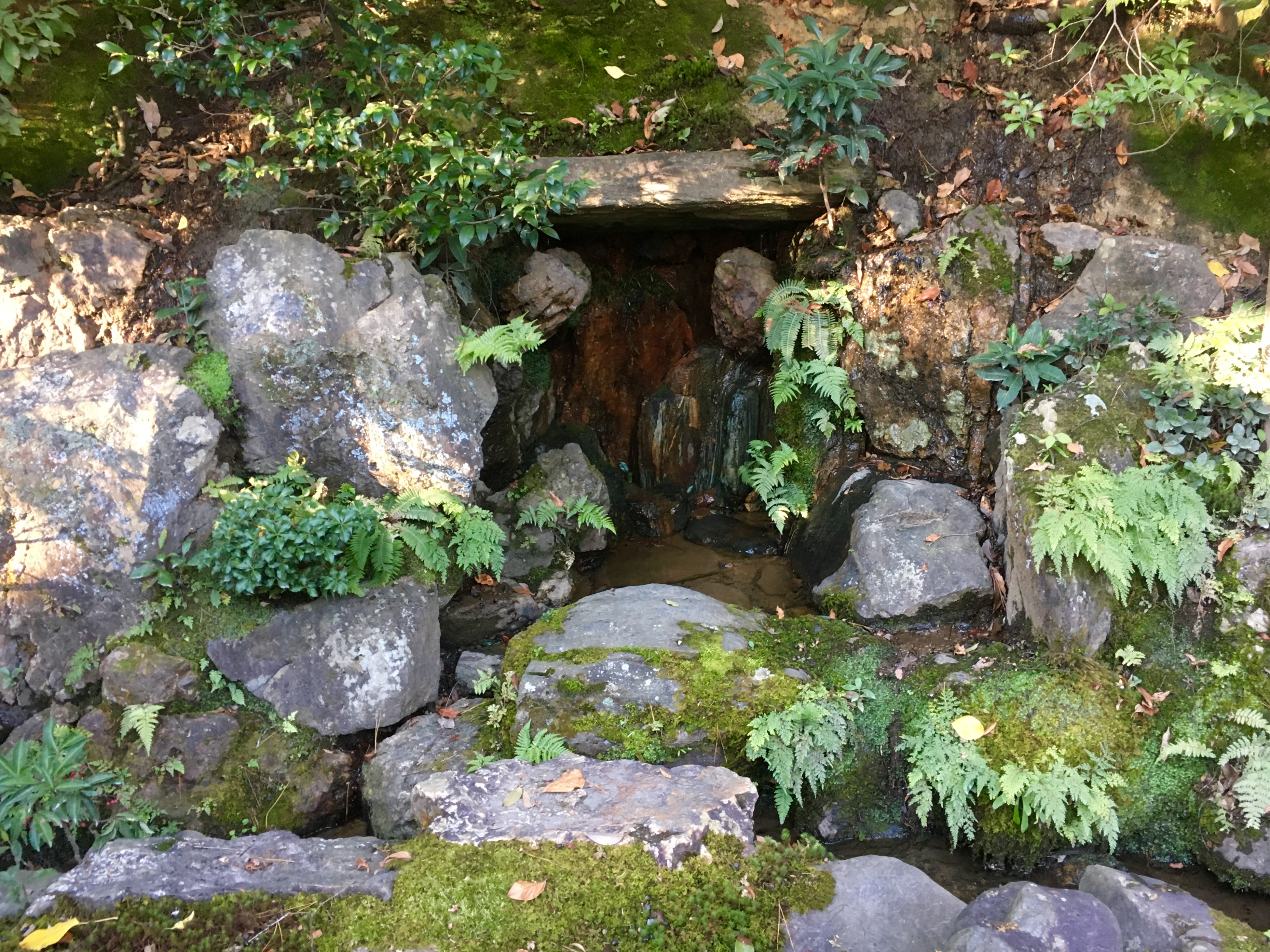 small waterfall surrounded by stones moss and leaves