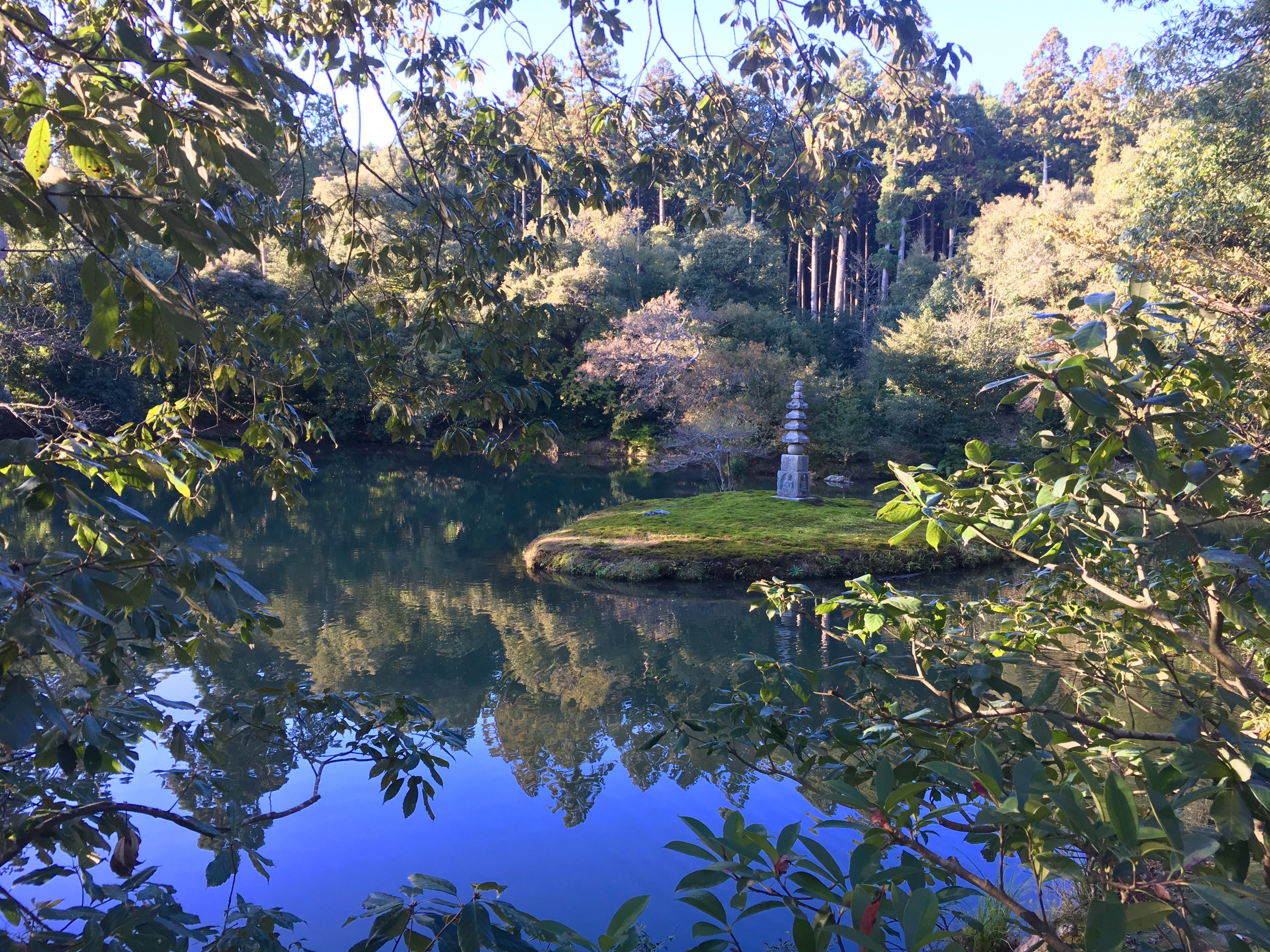 beautiful japanese pond surrounded by trees