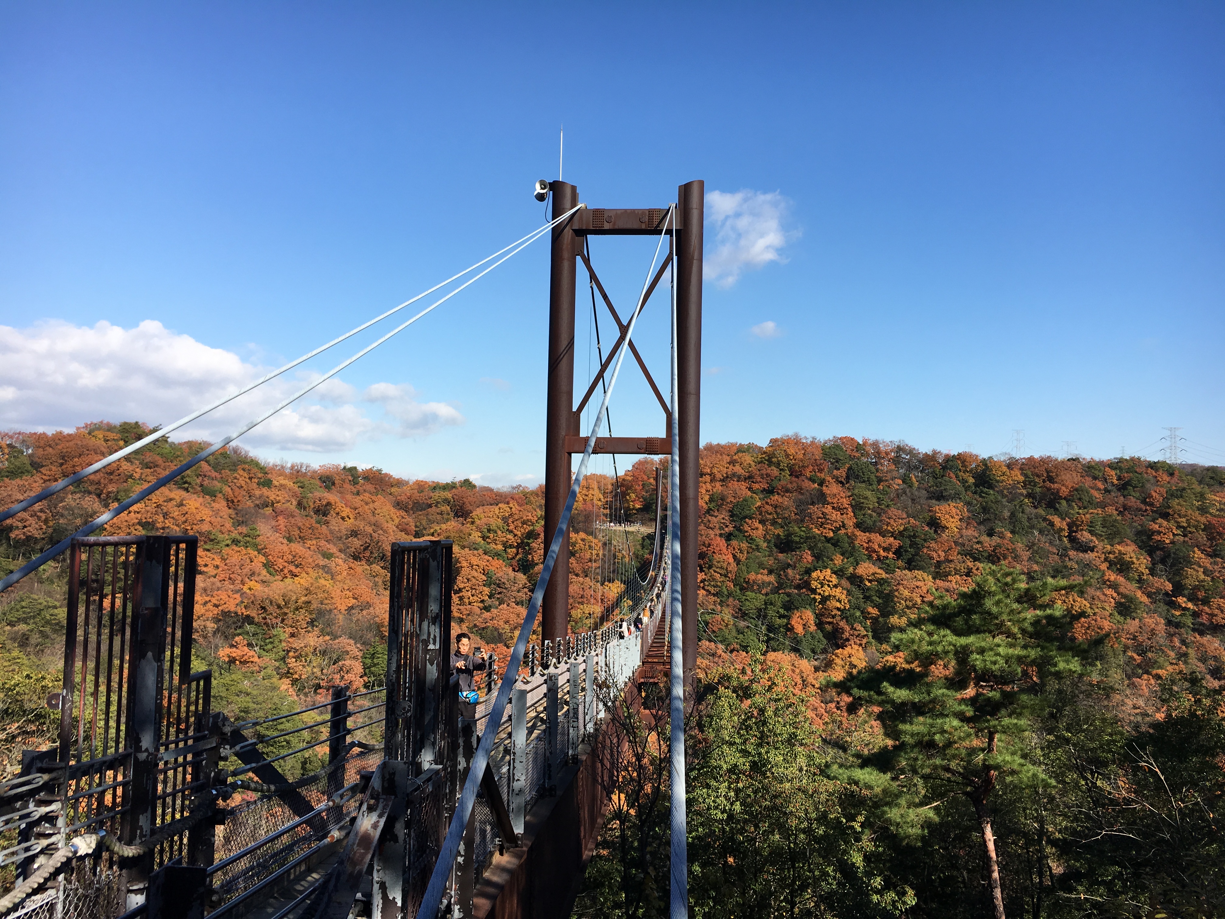 Hoshi no Blanco bridge surrounded by autumn leaves