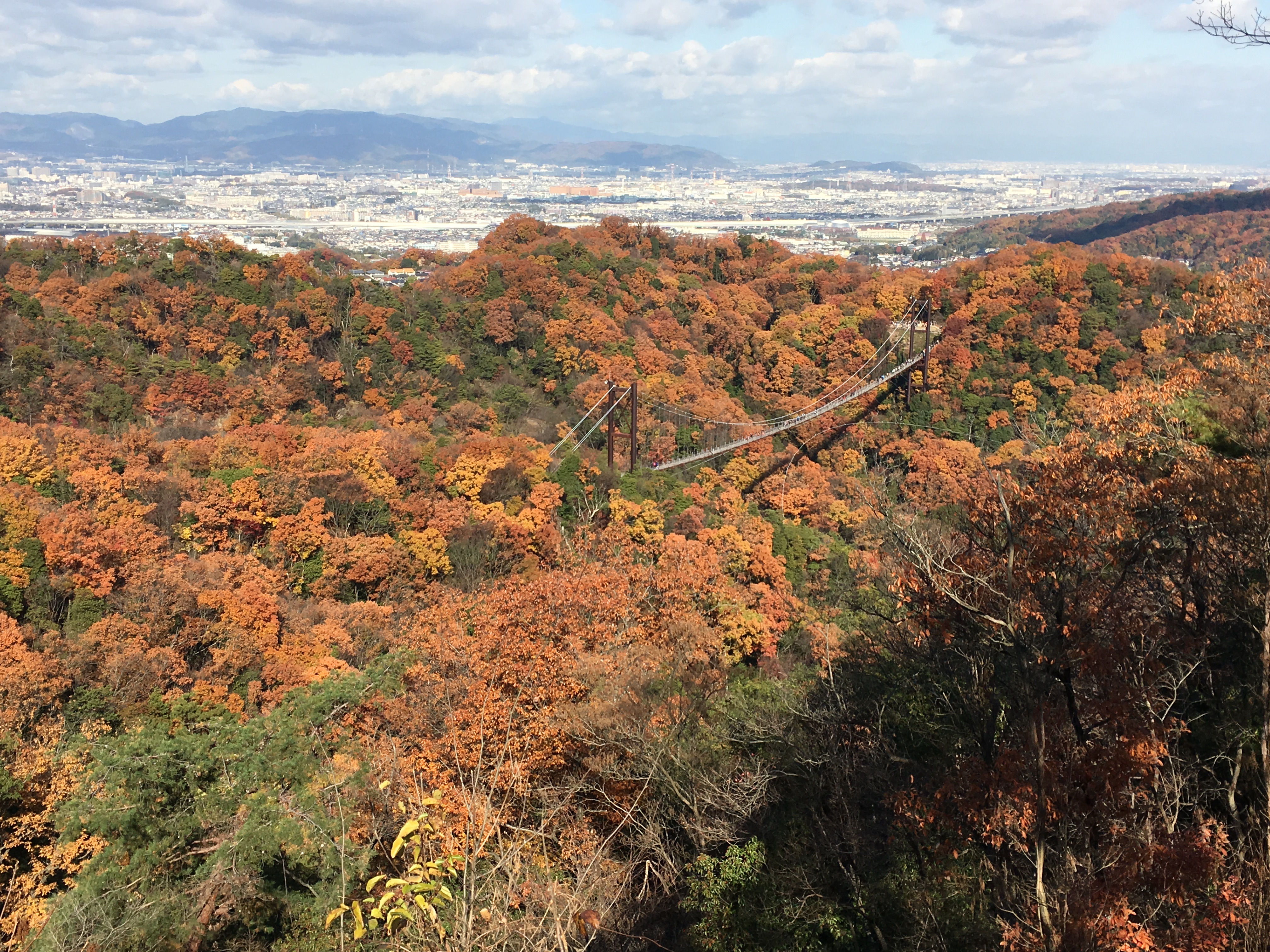 scenic view of Osaka and Kyoto from observation deck in Hoshida Park