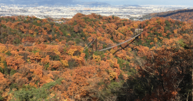 Hoshino Buranko in Hoshida Enchi