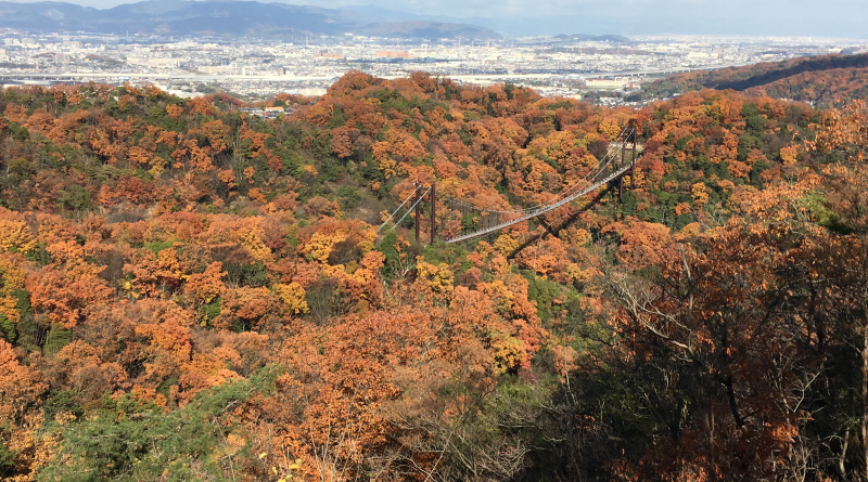 Hoshino Buranko in Hoshida Enchi