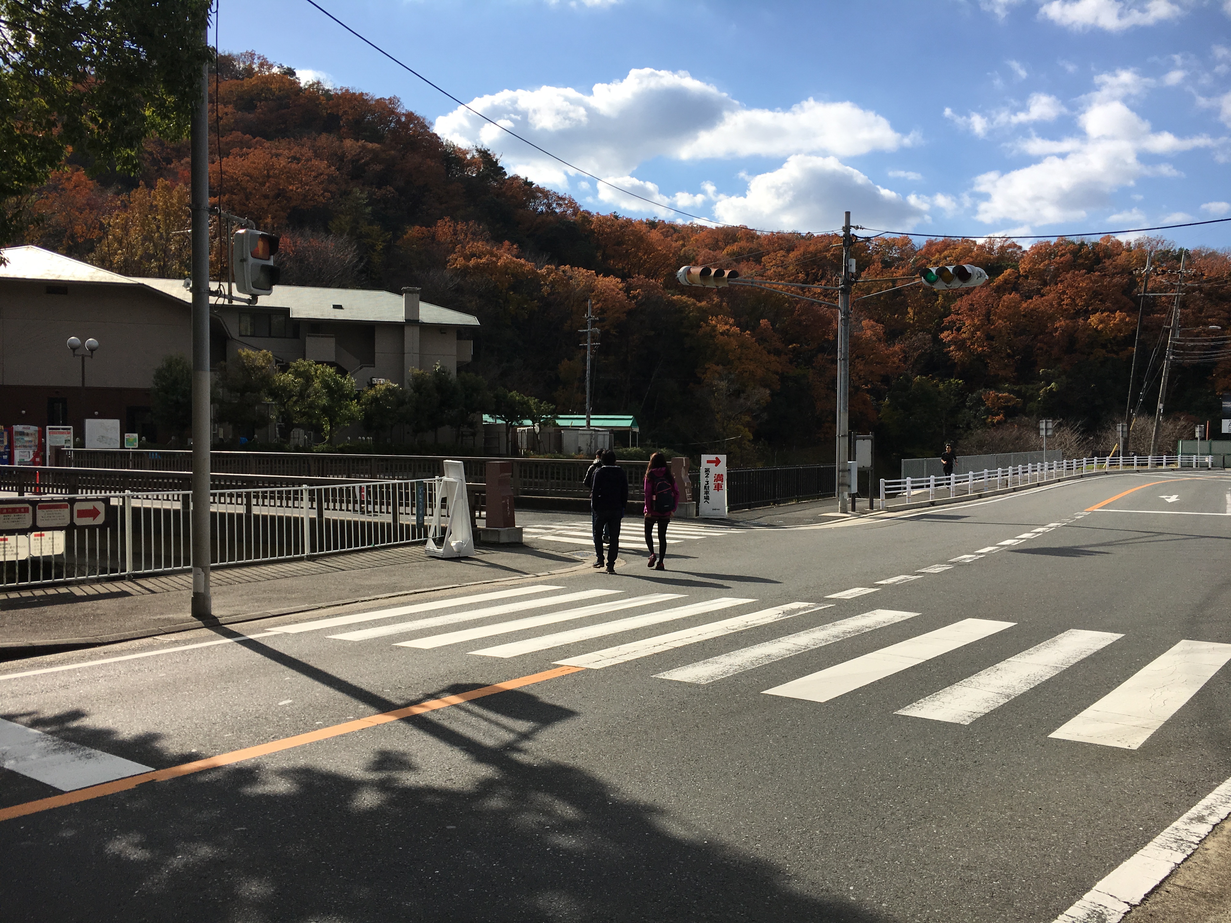 cross walk leading to hoshida park with autumn leaves