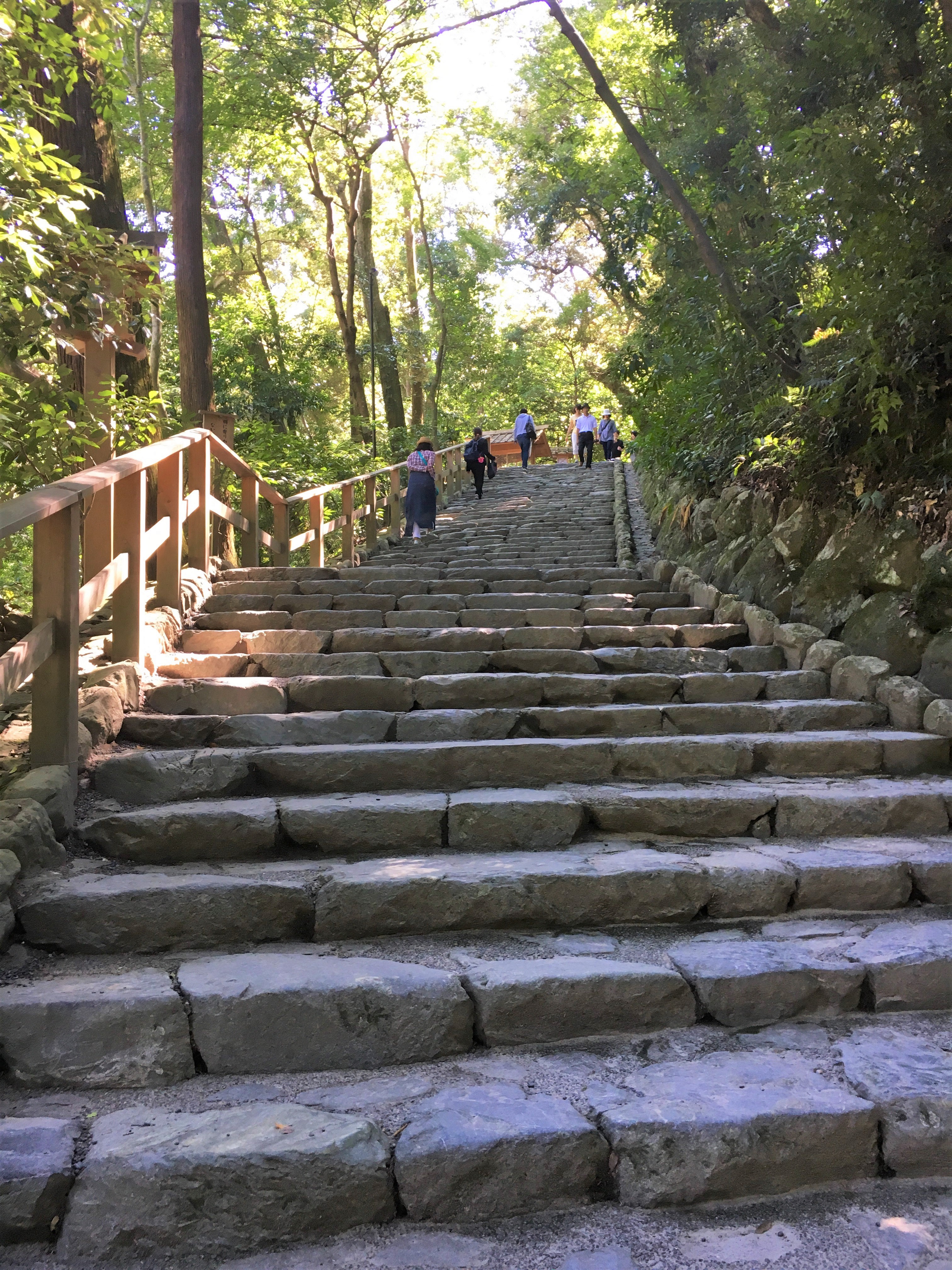 long flight of stone steps lined with green cider trees