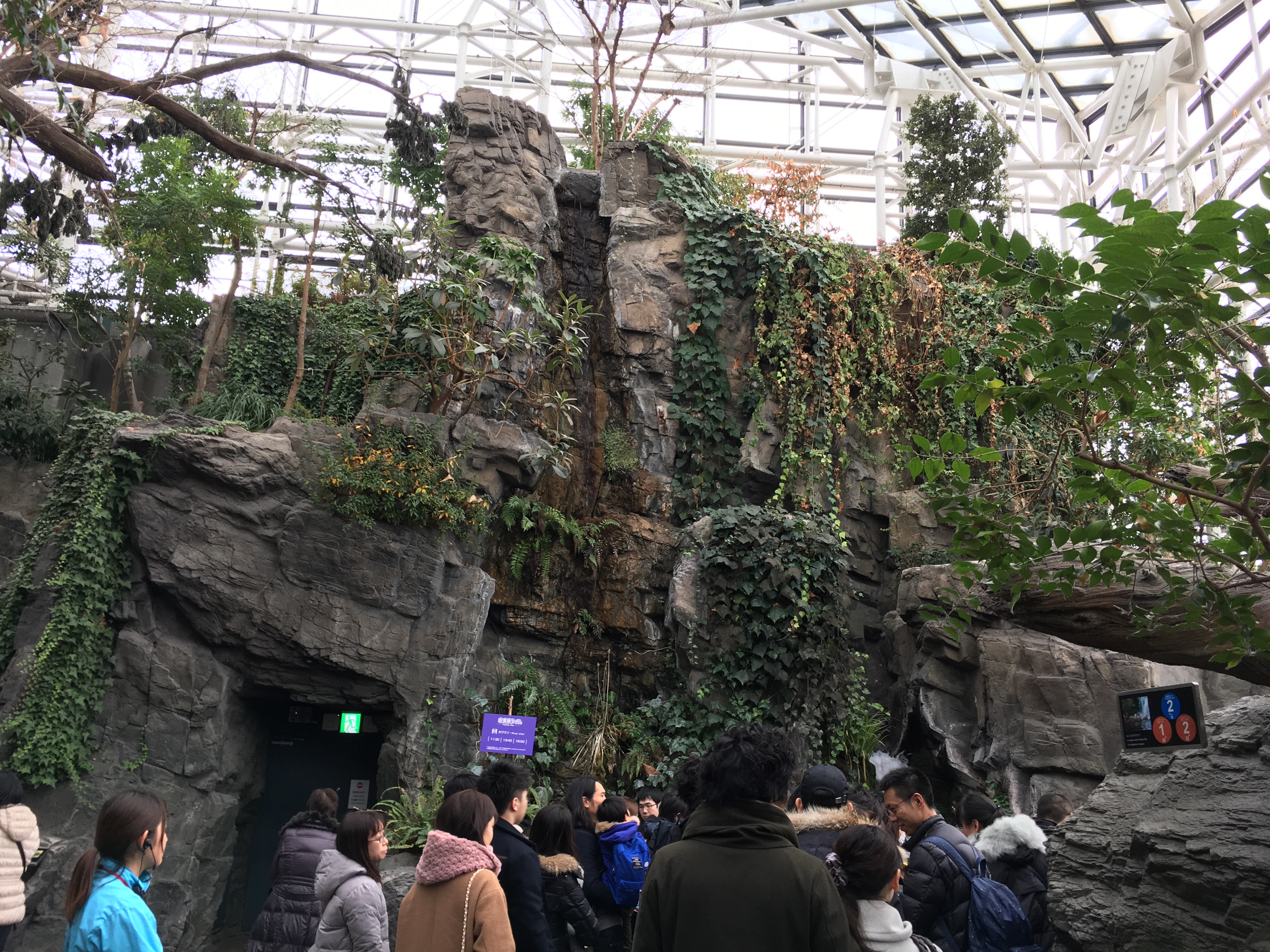 forest japan exhibit at Osaka kaiyukan of a very rocky japanese forest 