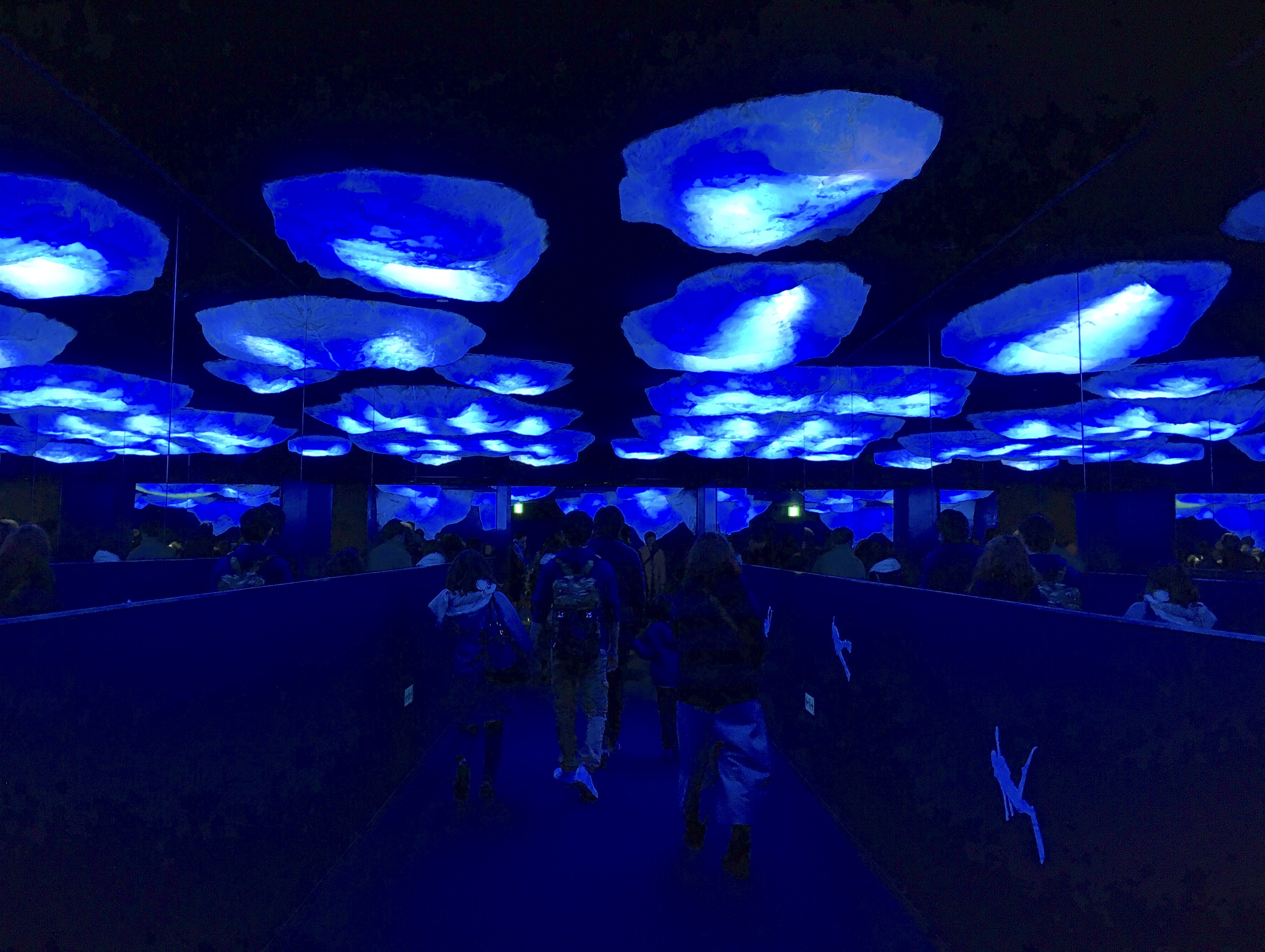 arctic ocean aquarium display dark blue lighting and fake icebergs on the ceiling 