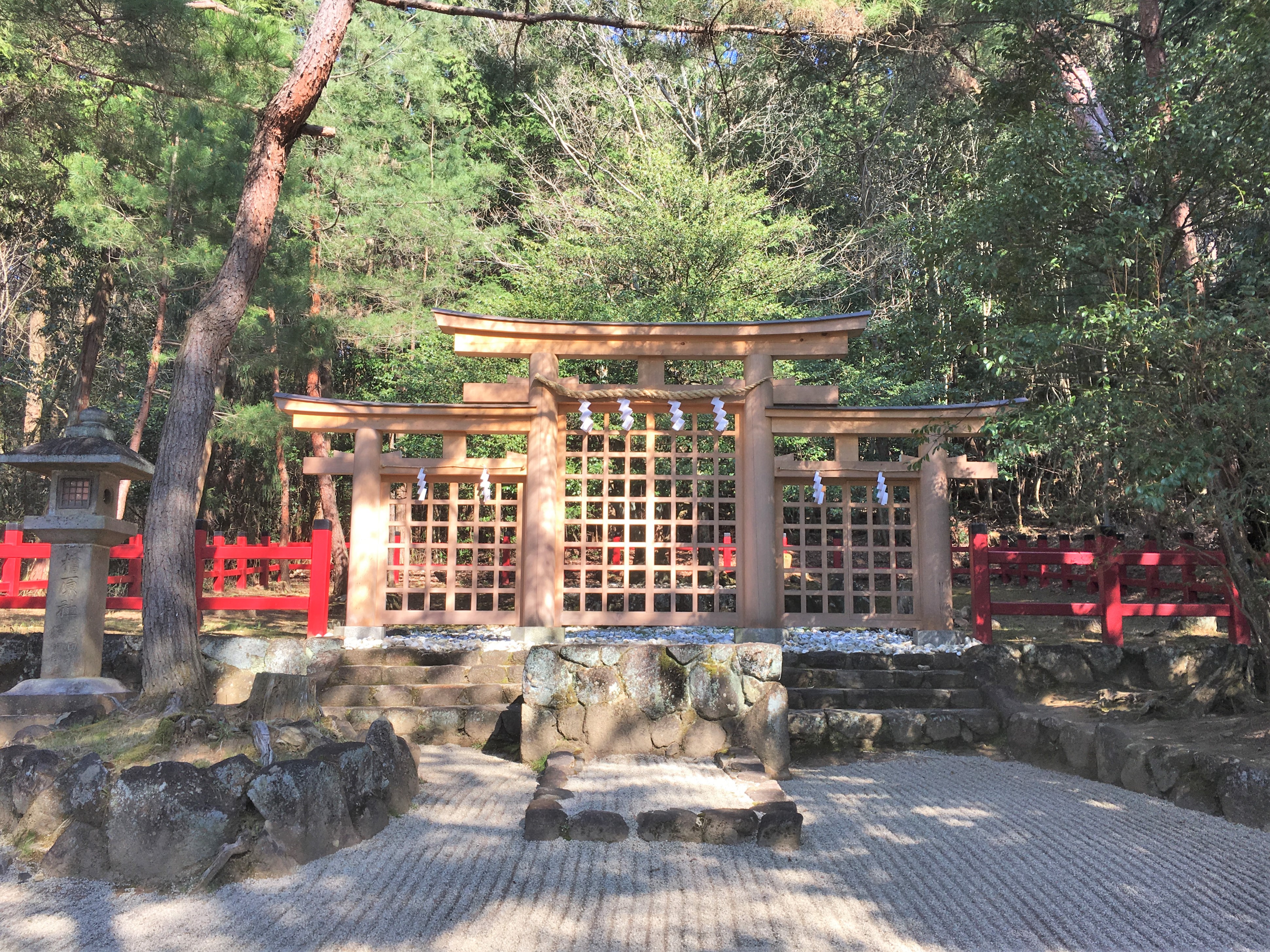 triple torii of Hibara Shine in Nara and green pine trees