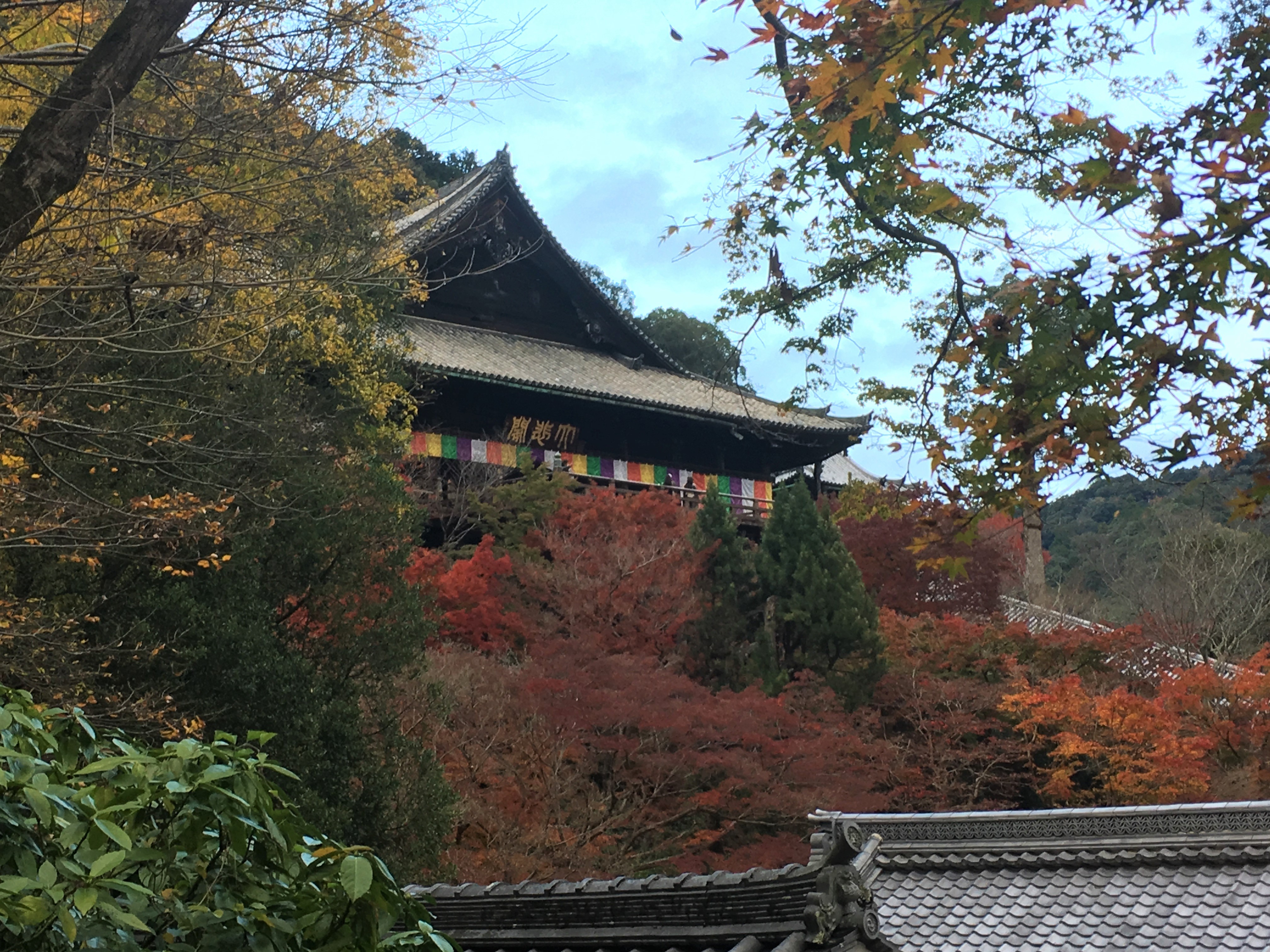 Hase-dera temple surrounded by autumn foliage 