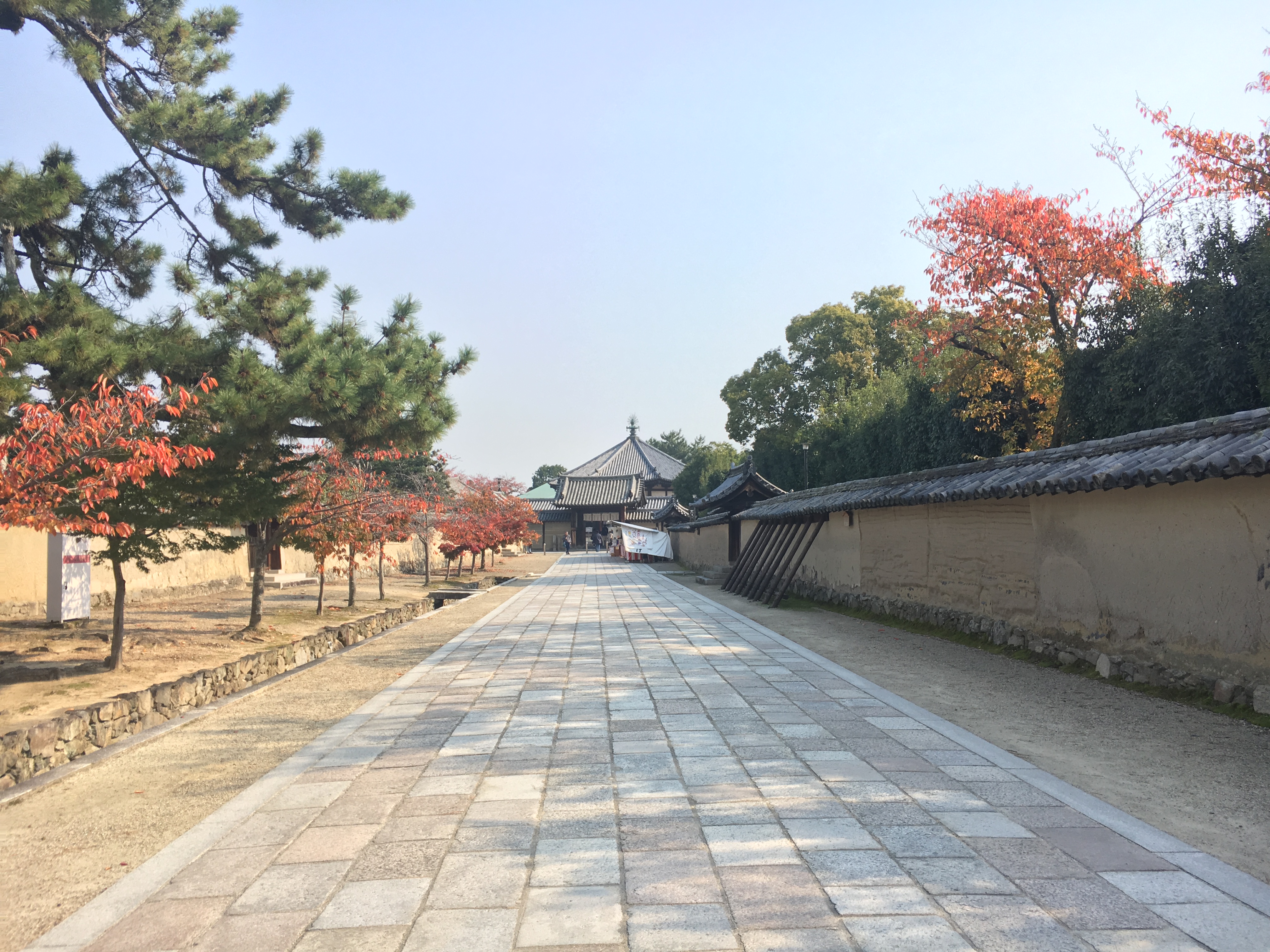 stone road at Horyu-ji temple surrounded by fall leaves 