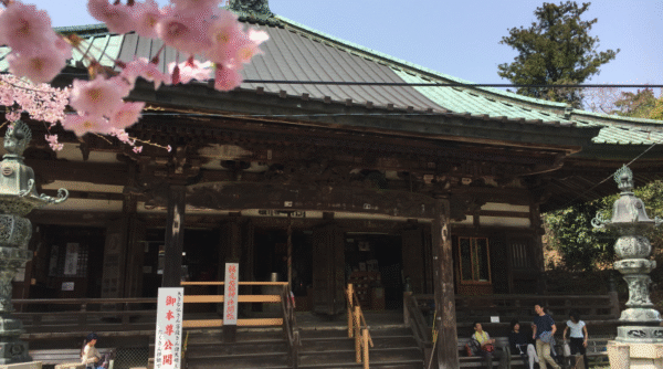 hondo of Sefukuji Temple with sakura trees