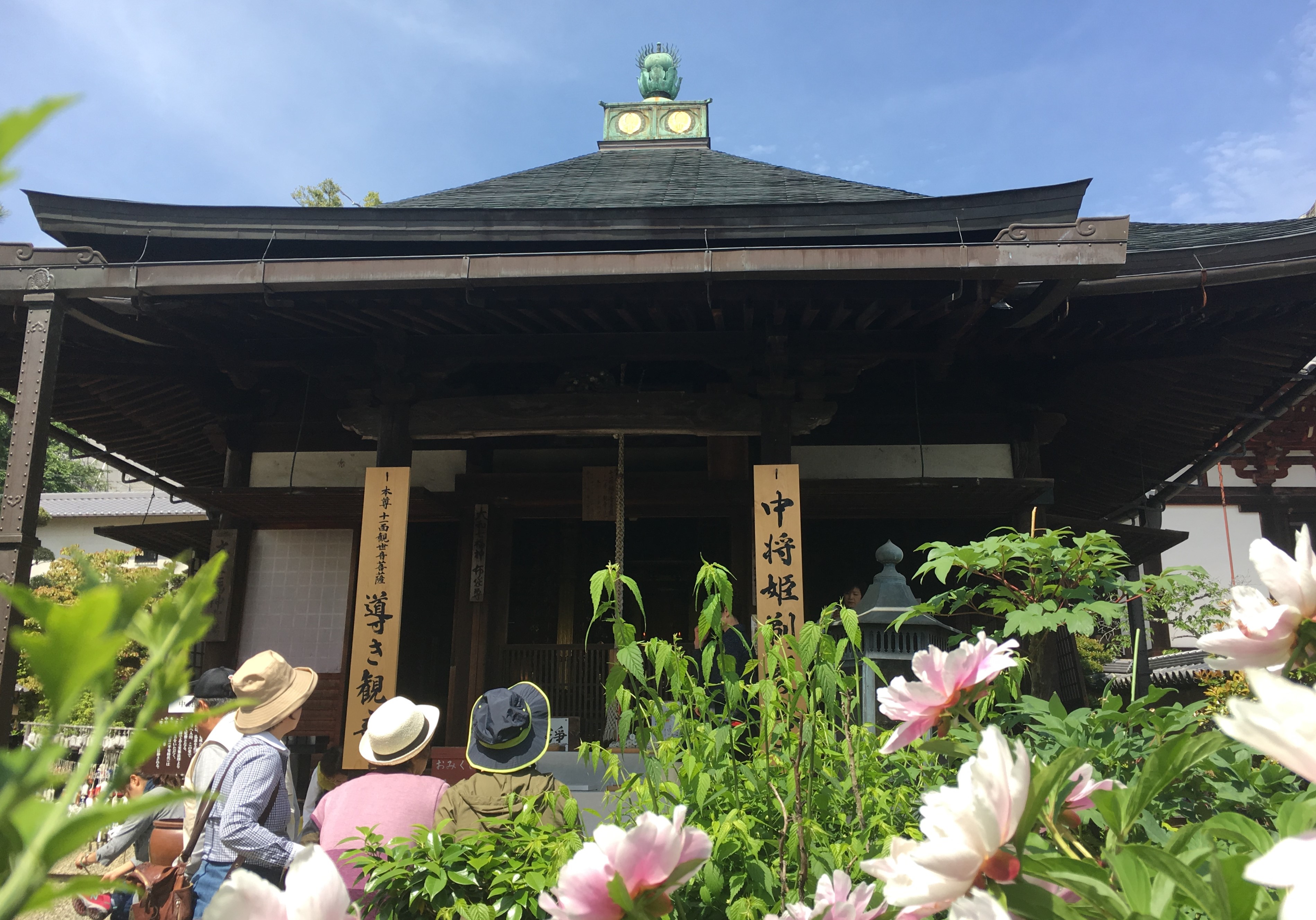Mihatsu-do at the Nakano-bo with blooming flowers