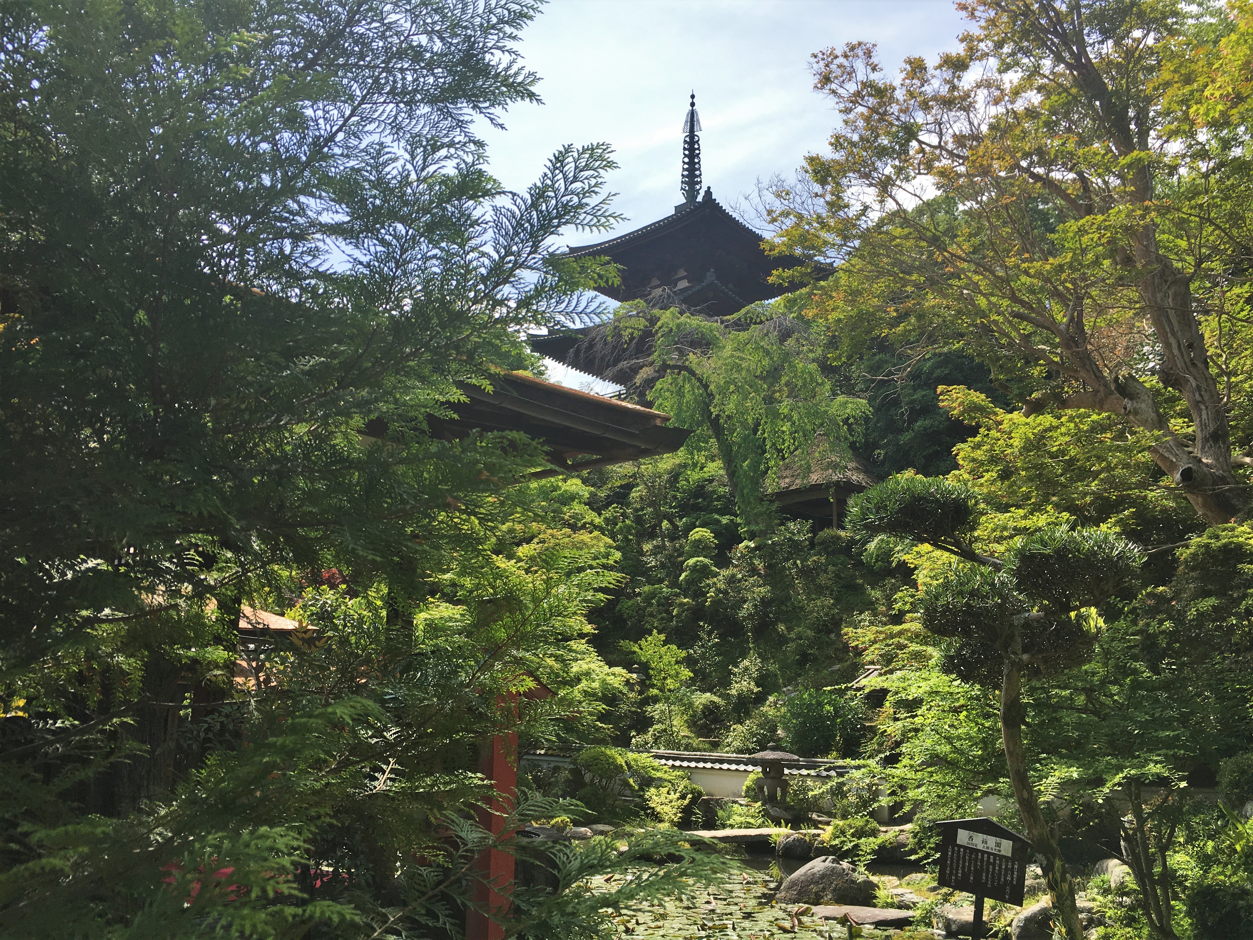 Koguen garden with the east pagoda taima-dera in background