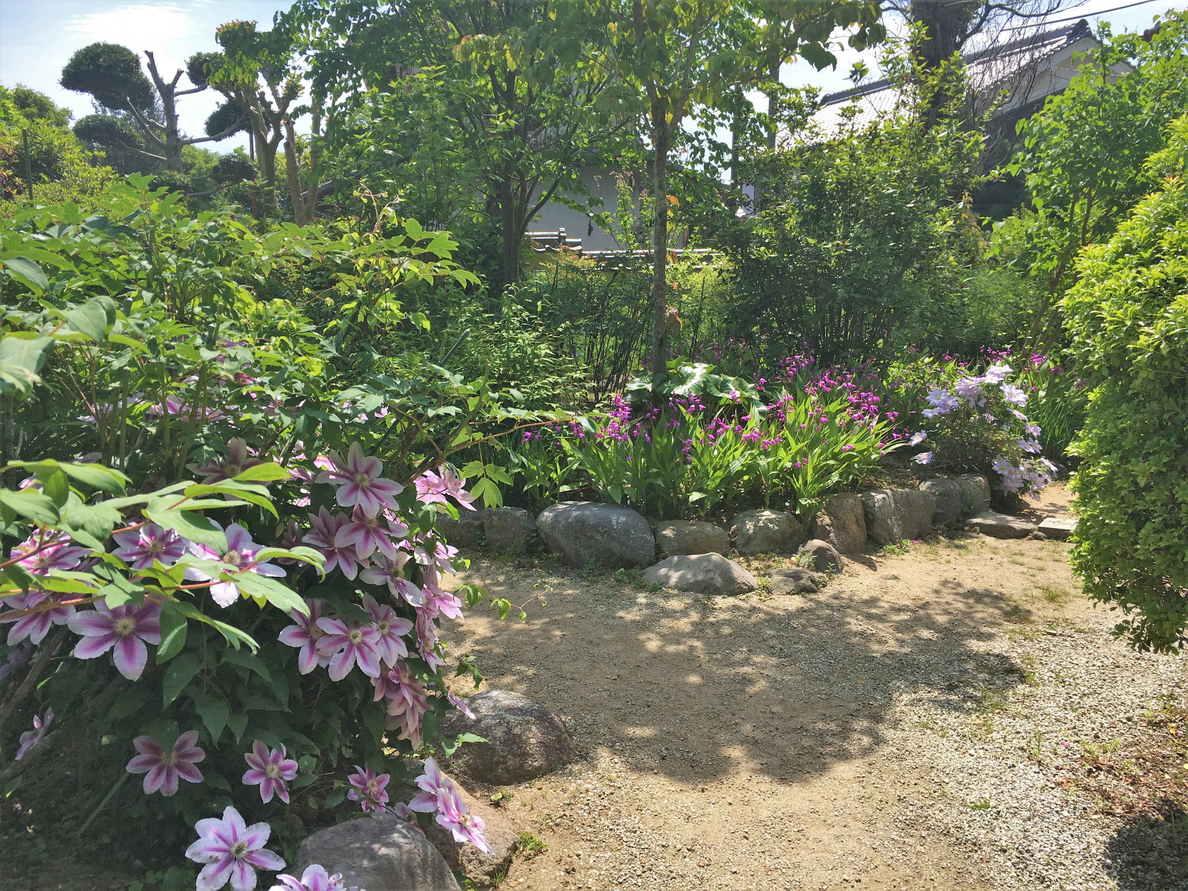 blooming flowers at koguden garden in Taima-dera