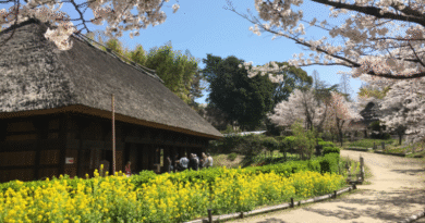 old style Japanese house with flowers in spring