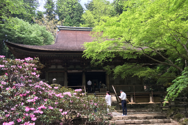 室生寺の本堂