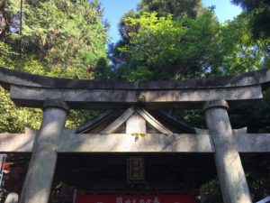 unusual torii at fushimi inari taisha