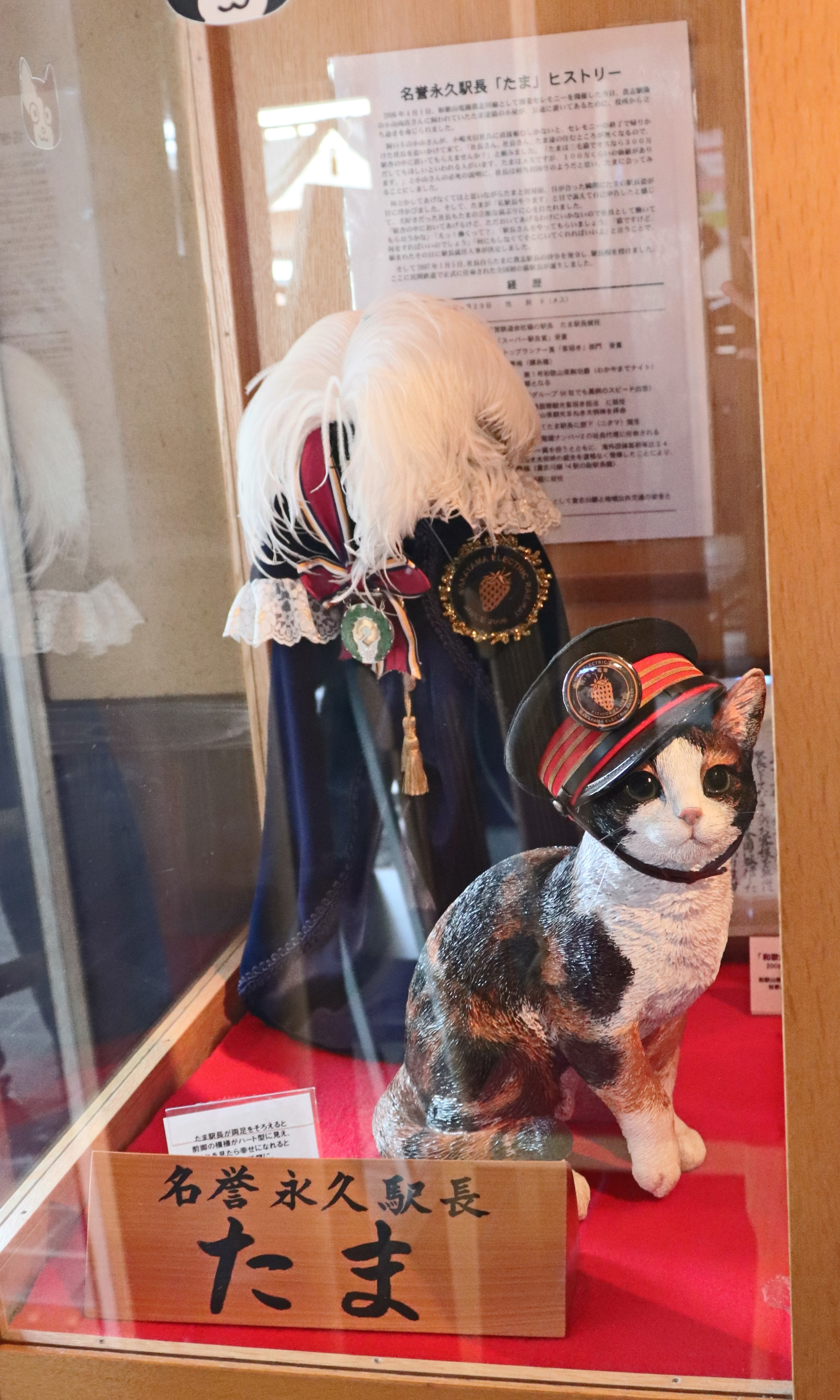 Display of Tama the cat at the Tama Cafe in Kishi Station.