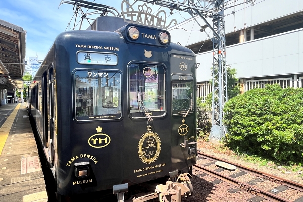 たま電車ミュージアム号。