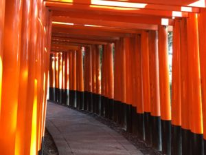 Fushimi Inari Taisha torii