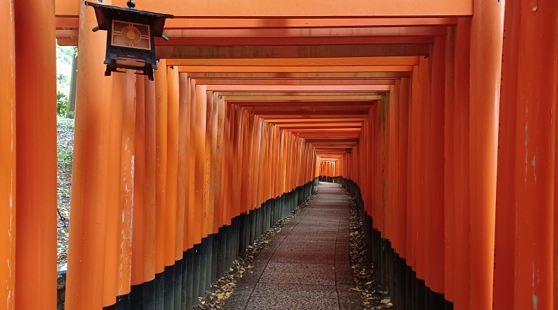 Thousand torii of Fushimi Inari Shrine