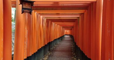 伏見稲荷の千本鳥居