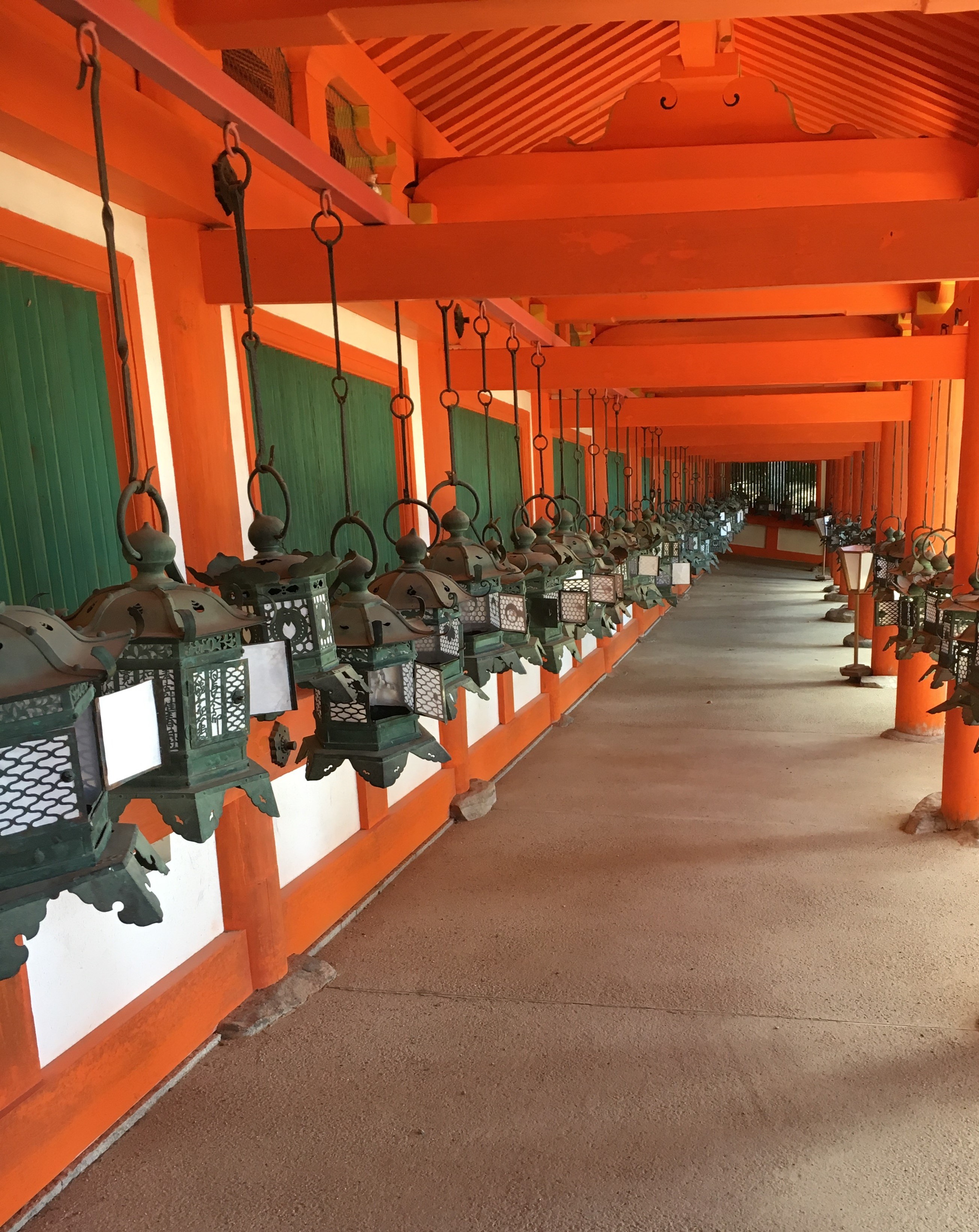 rows of lanterns at kasuga taisha