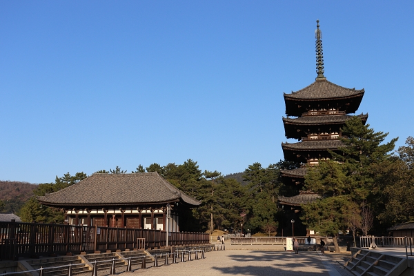 Tokondo and pagoda in Kofuku-ji temple