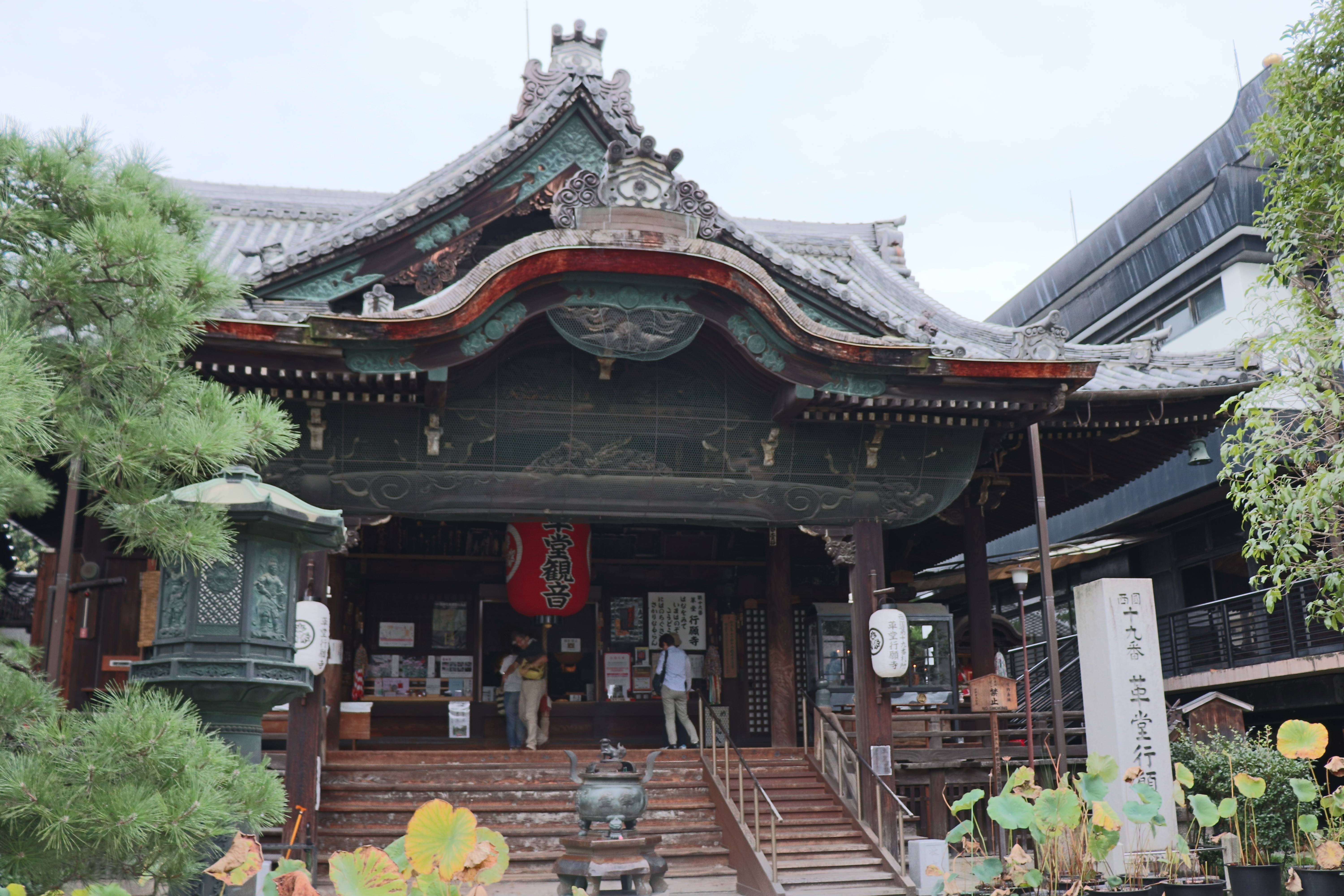 Hodo of Kodo Temple, Gyogan-ji framed with water lilies