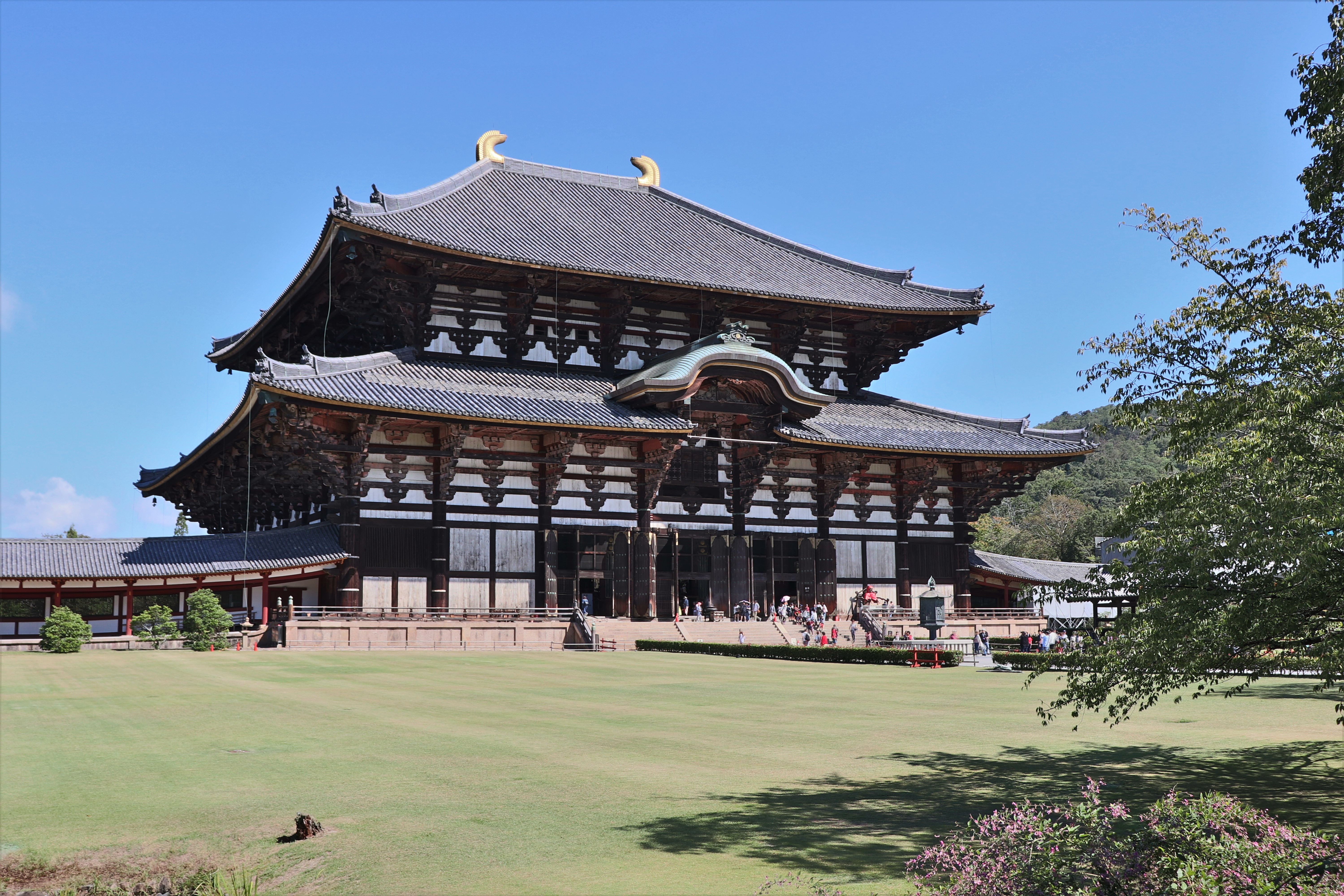 Daibutsu-den of todaiji temple