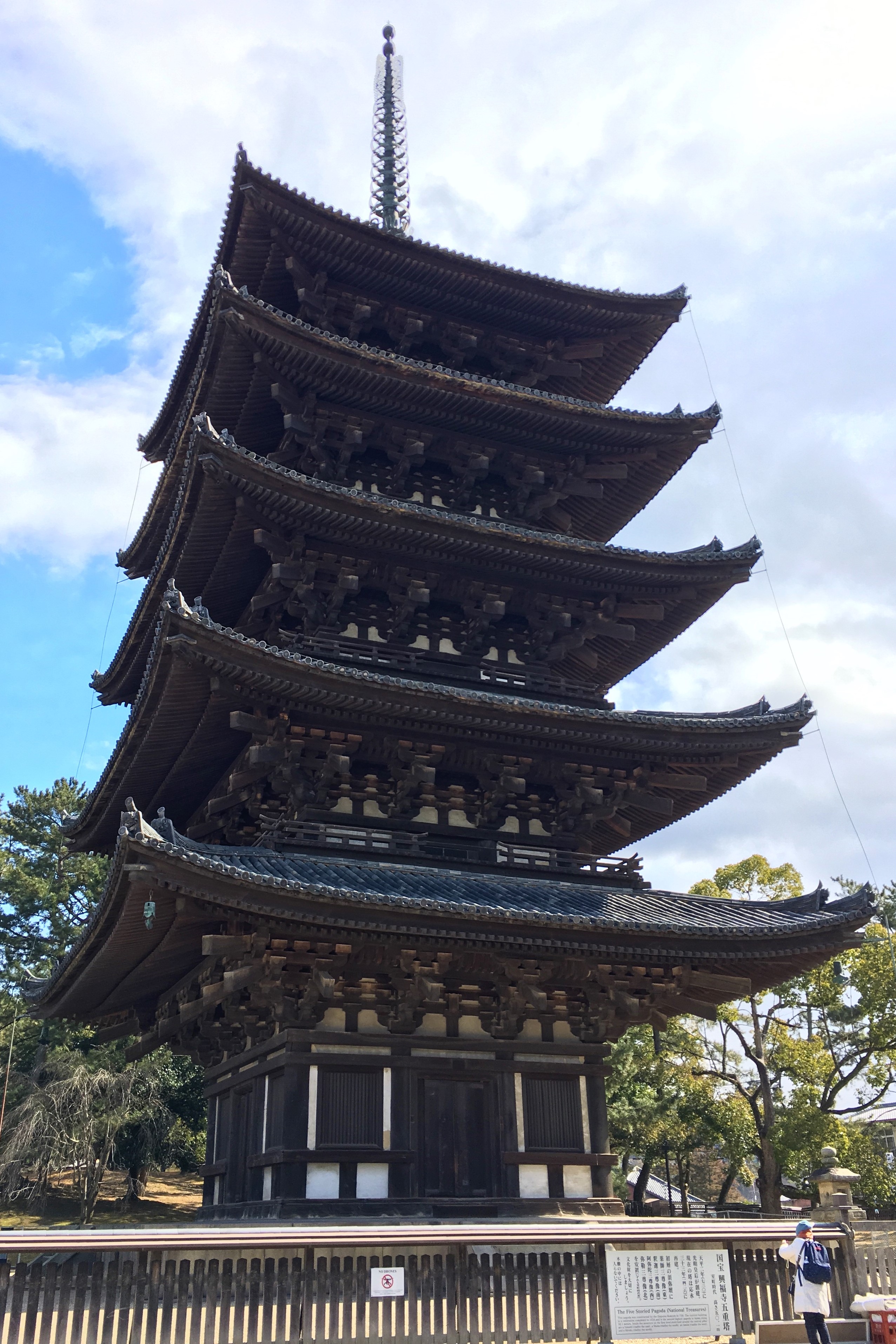 Gojyu no to at Kofuku-ji temple 