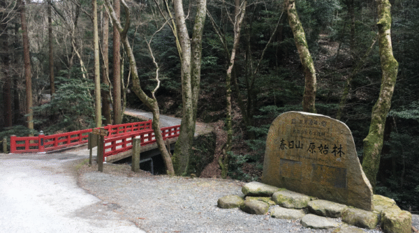 Kasuga Primeval Forest