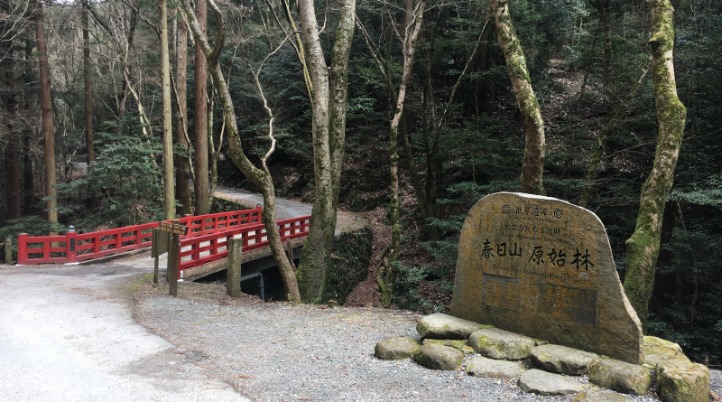 Kasuga Primeval Forest