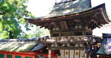 The gate of Isonokami Shrine