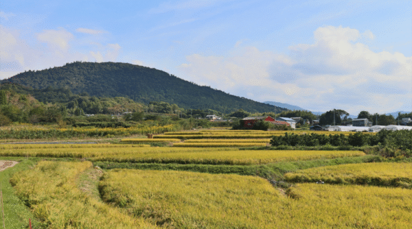Yamaobenomichi Trail and Mount Miwa