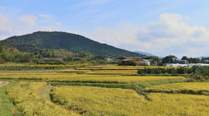 Yamaobenomichi Trail and Mount Miwa