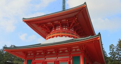 高野山　壇上伽藍　根本大塔